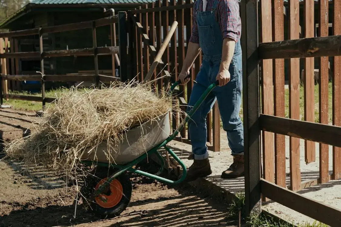 farmer pushing wheelbarrow full of hay