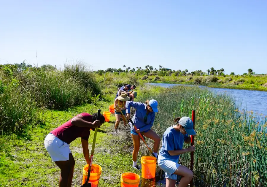 A group of volunteers doing work at wetlands